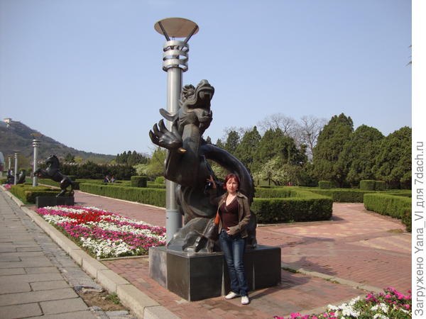 Дракон