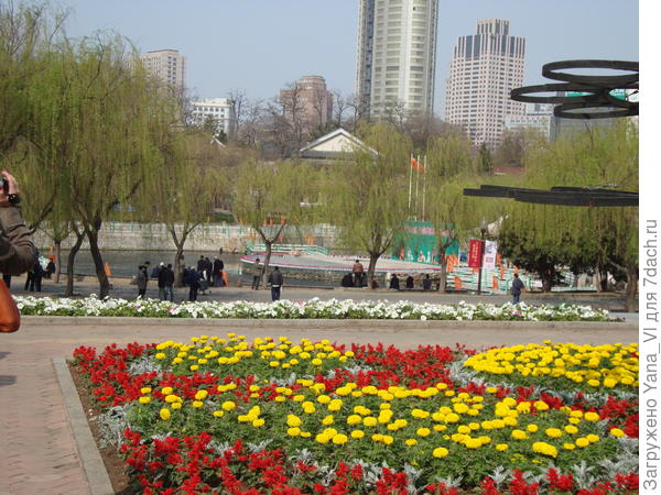 клумбы