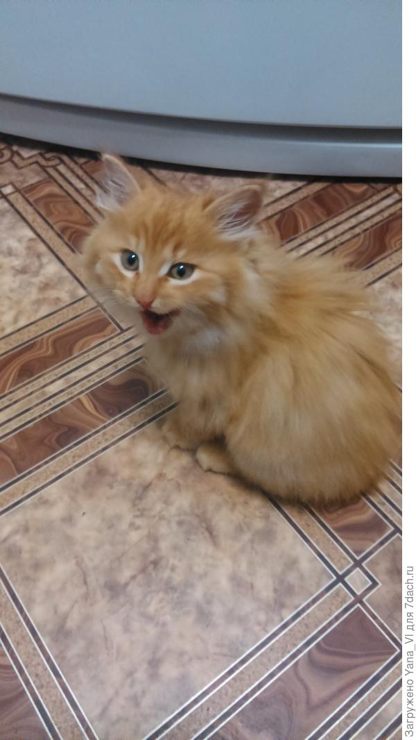 Это мы маленькие