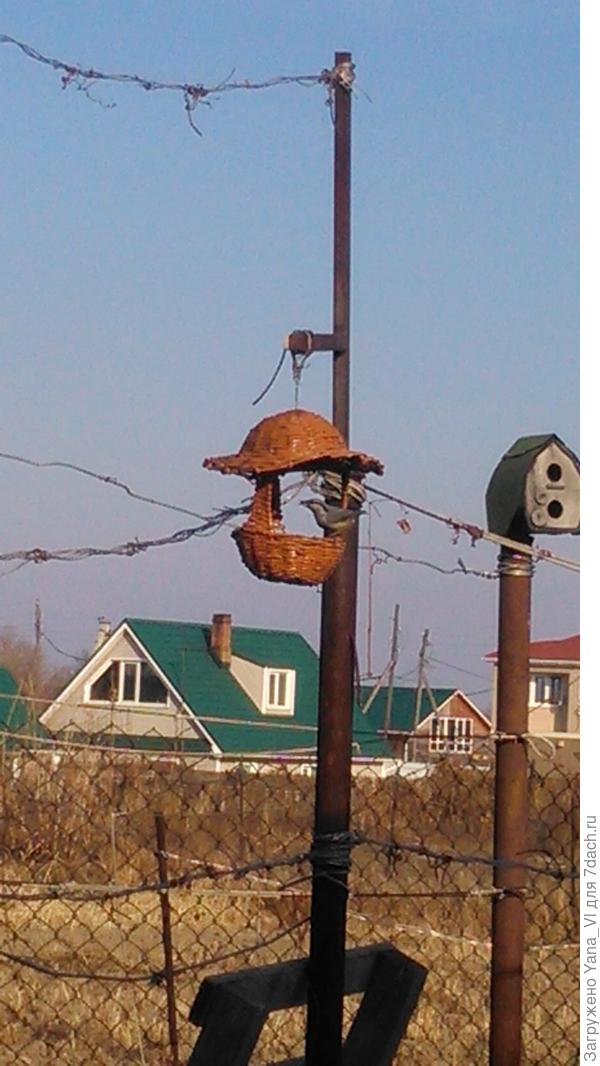 поползень