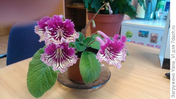 Не помню название к сожалению :(