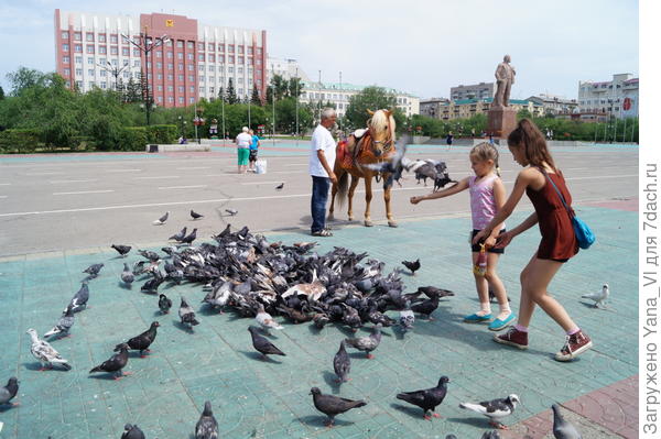 Площадь