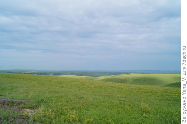лес исчез