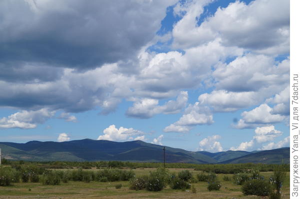 степь