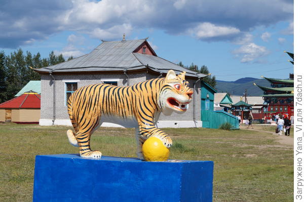 тигр