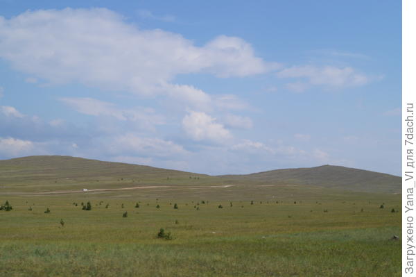 редкие деревца