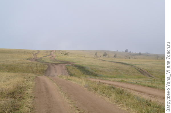 снова тропинки