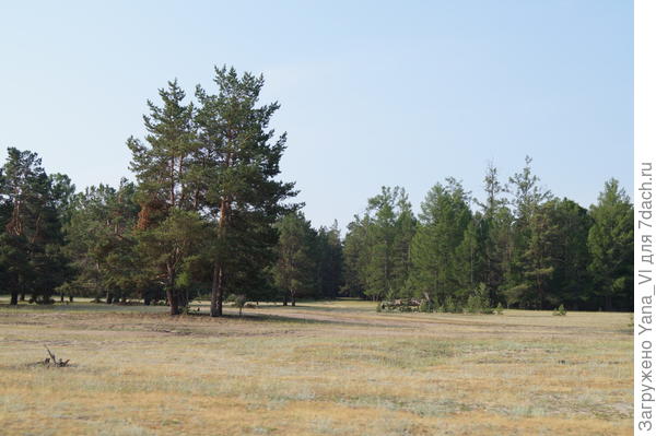 лесок