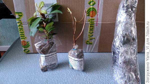 Не одна ты такая :)