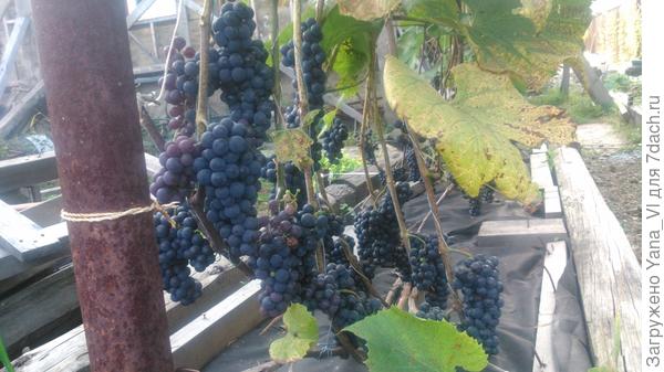 Столбы ржавые, вид не очень :(