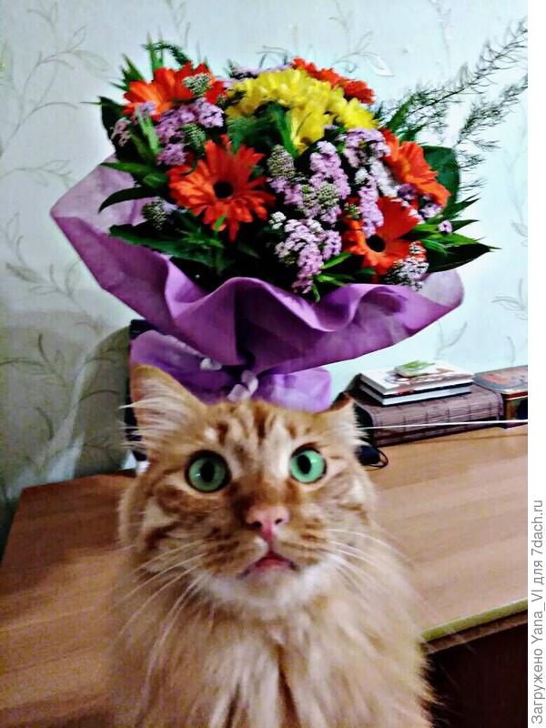 Поздравляем!!!