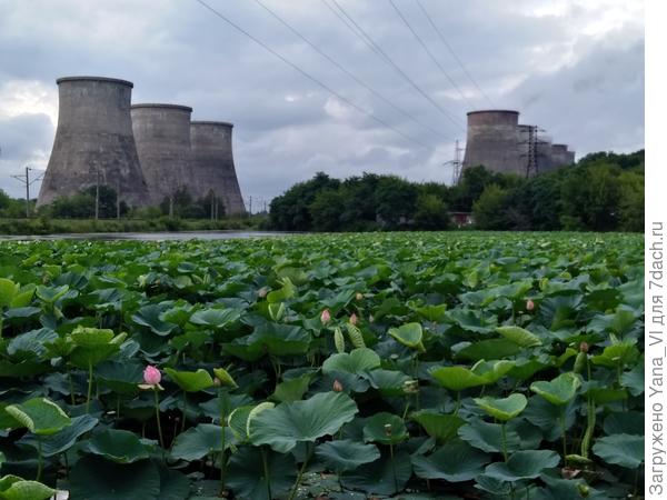 ...и уродливая мощь цивилизации