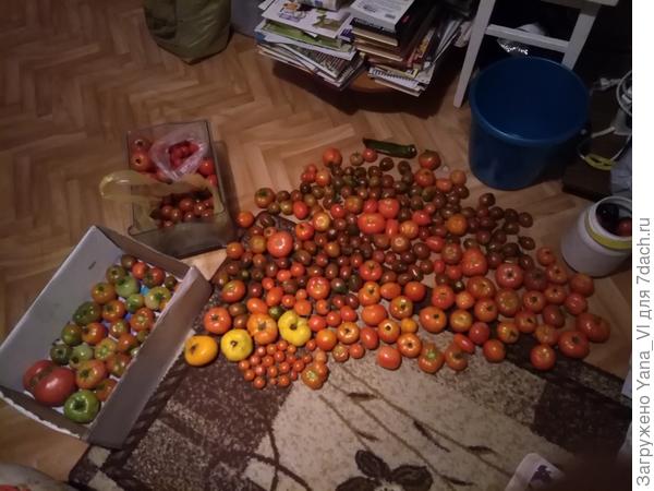 Сортирую