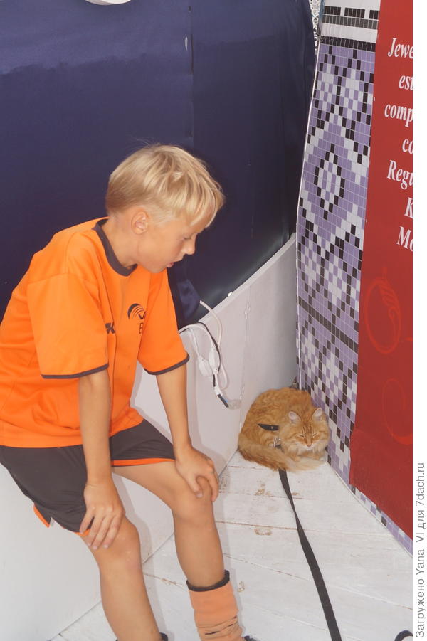 Боится бедняга :(