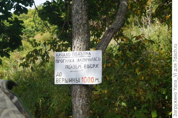 следующая табличка