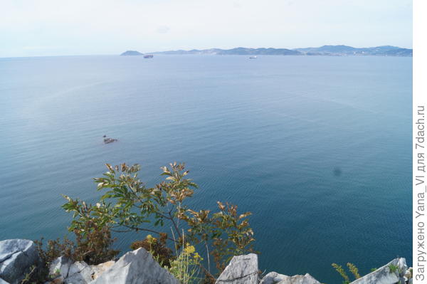 море