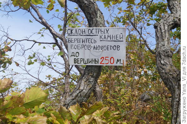 следующий этап