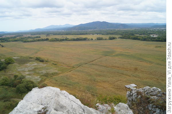 тарзанка