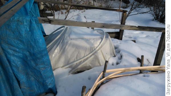 Это 12 ноября, снег выпал