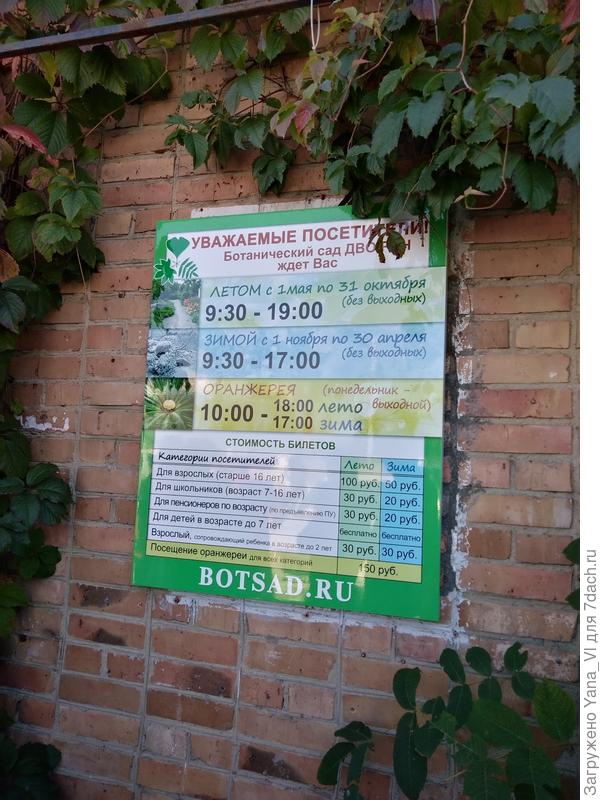 цены на услуги
