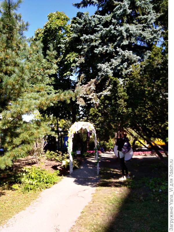 для постановочных фотографий сделана арка