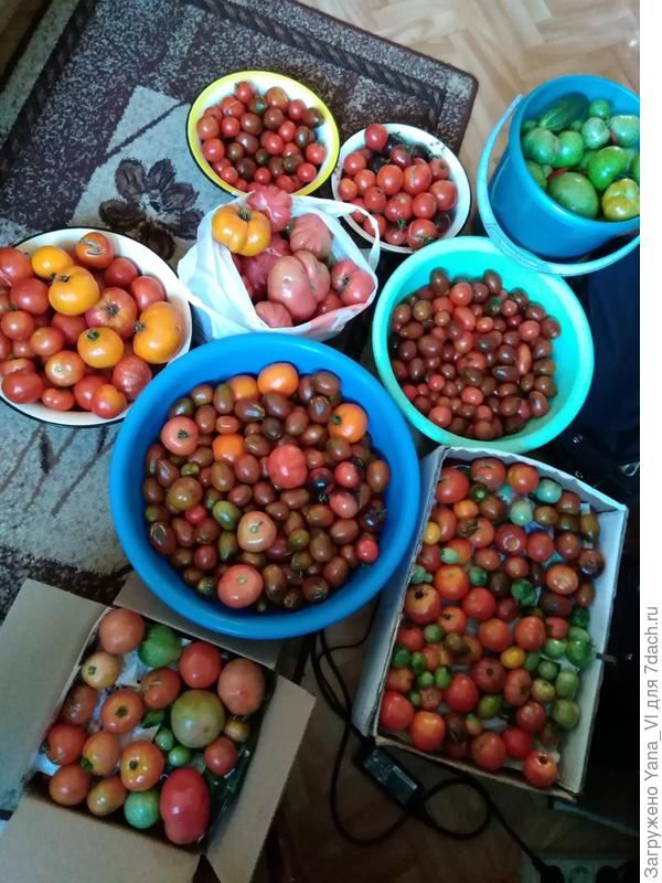 Можно визуально оценить ;)