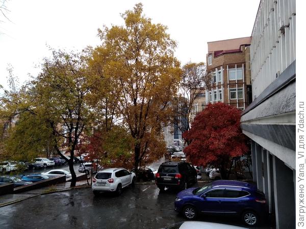 Последние краски этого года...