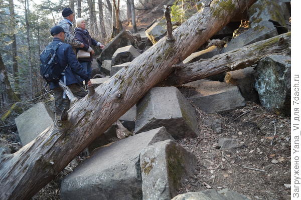 Посмотрите на эти куски... кубики...каждый по несколько тонн весом