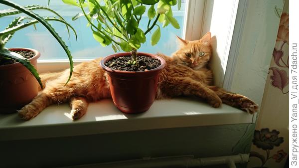 Глаз да глаз за ними нужен...