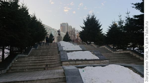 Редкий снежок сгребли на клумбы, в надежде сохранить растения