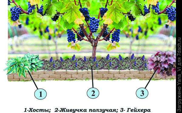вариант 2