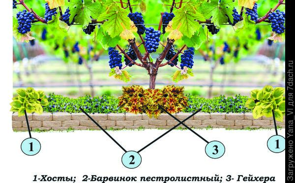 вариант 3