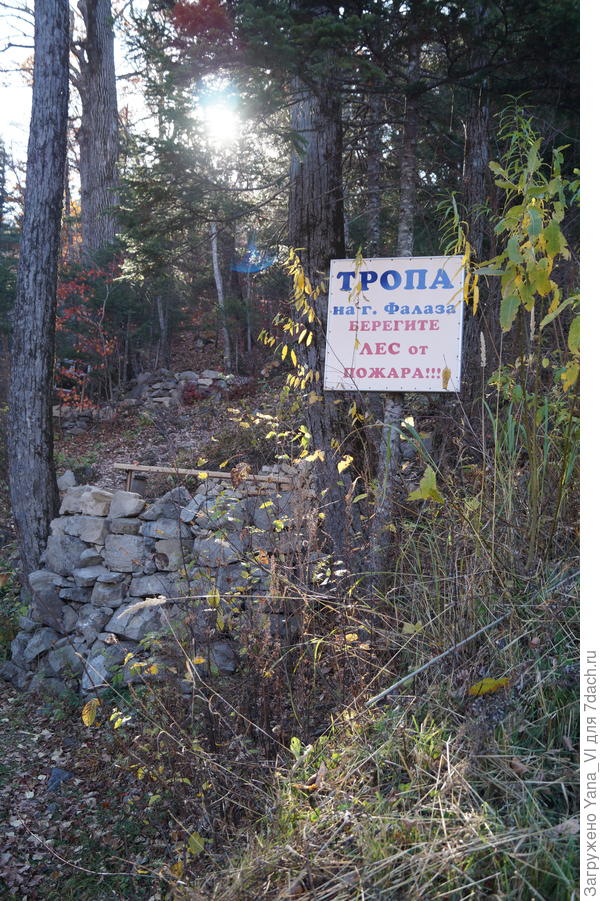 дальше тропа