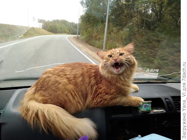 Но больше на машине зажигаем:"Гони хозя-я-я-йка с ветерком!"