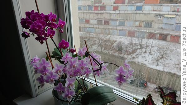 Ракурс покрупнее :)
