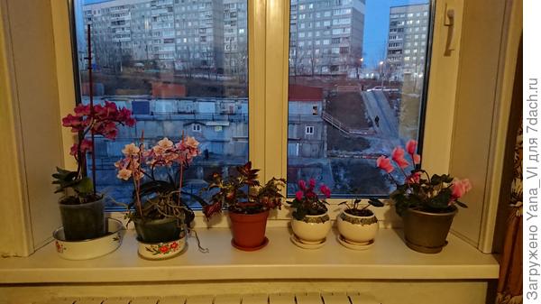 Окно в комнате