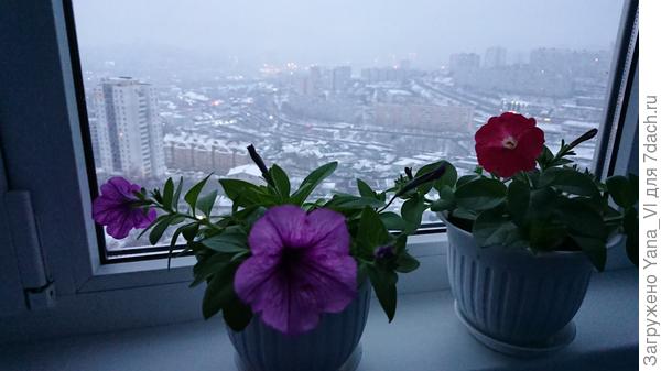 Тоже ждут весну!