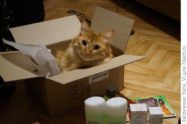 Подарочек в посылочке