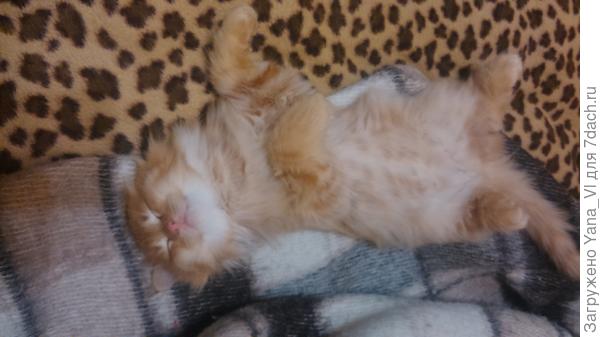 Моя любимая фотка :)