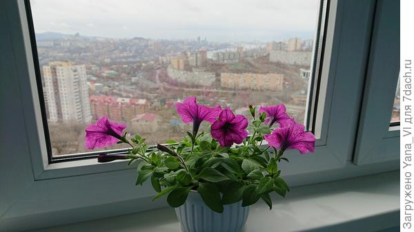 Вторая тоже скучает...