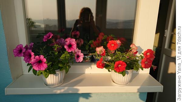 Будь яркой, красивой и жизнерадостной как эти цветы!