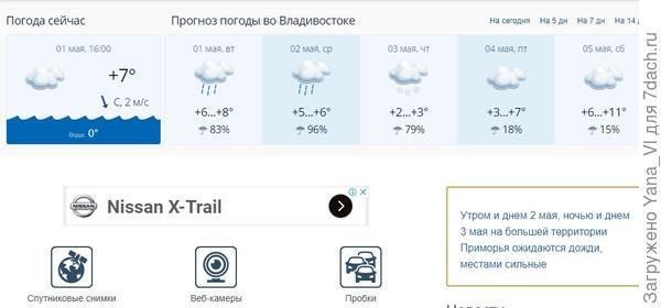 Примпогода дальнегорск на 5