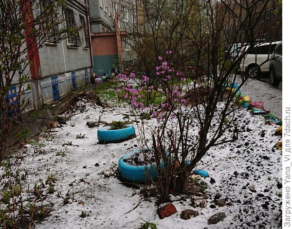 клумба