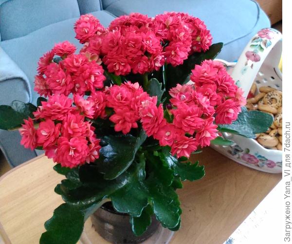 Яркого лета!