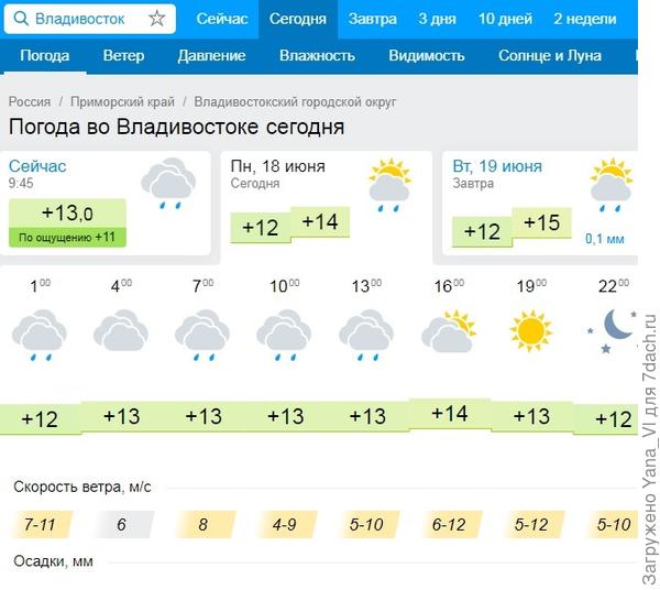 Погода во владивостоке на 10. Погода Владивосток. Погода во Владивостоке сегодня. Владивосток погода сейчас. Погода во Владивостоке на неделю.