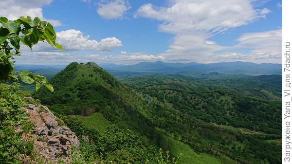 Извините, цветами не богата в этом году :) ничего не растёт...