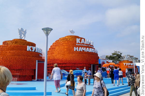 Красивая и яркая Камчатка