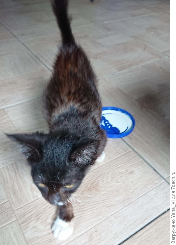 Шерсть на шее пока не отросла, лысенько :)