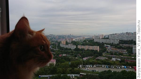 Небо за окном всё лето не менялось. Хмурое и серое.