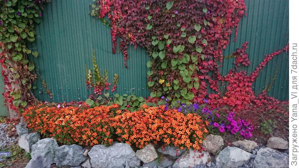 Вот такая красота осенью :)